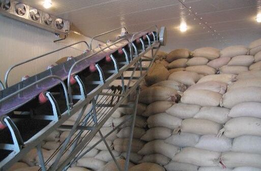 种子库存 种子库存