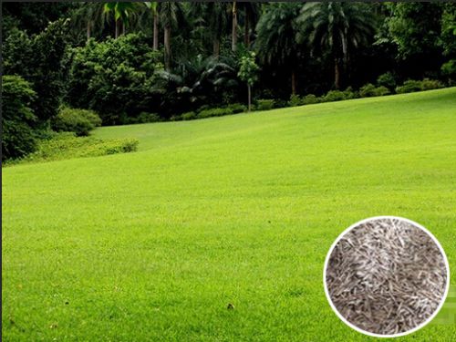 ����é����