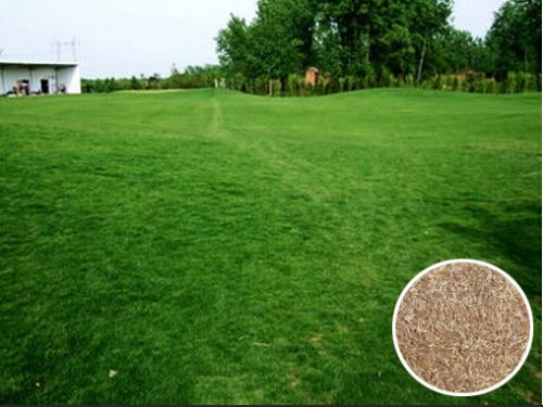 ����ӱ����