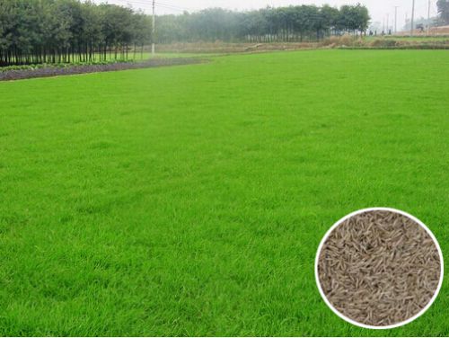 ����é����