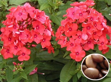 ��»������