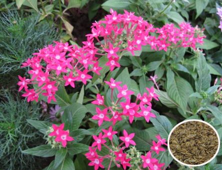 ���̲�����