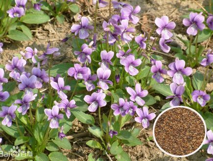 �ϻ��ض�����