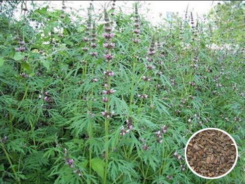 ��ε������