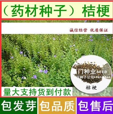 �۹�����