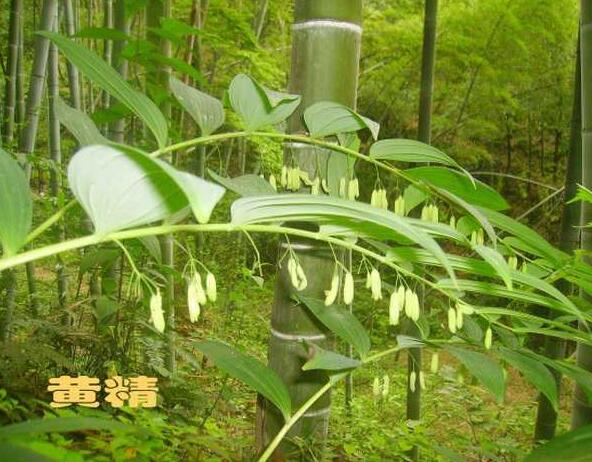 �ƾ�����