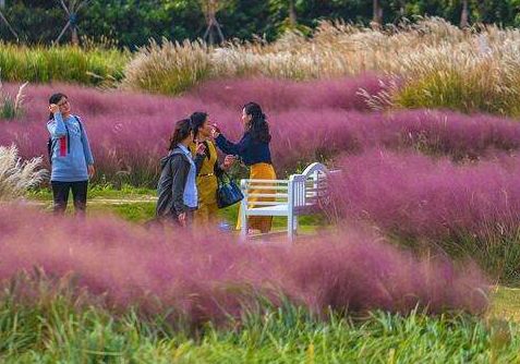 �������Ӳ�����