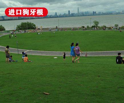 ���ڹ���������