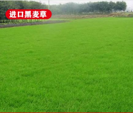 ���ں��������