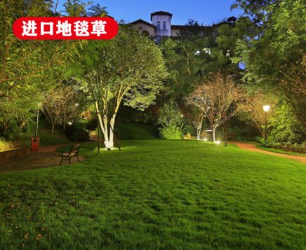 ���ڵ�̺������